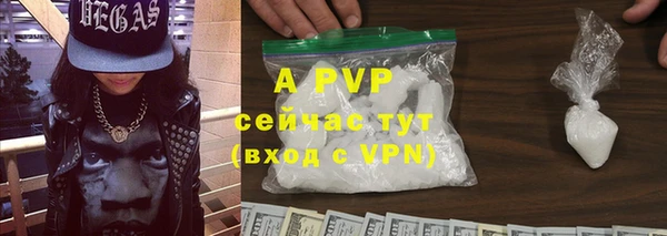 ПСИЛОЦИБИНОВЫЕ ГРИБЫ Горно-Алтайск