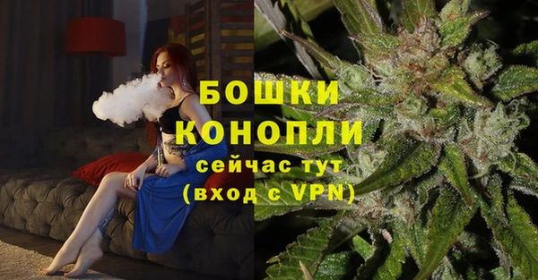 ешки Дмитриев