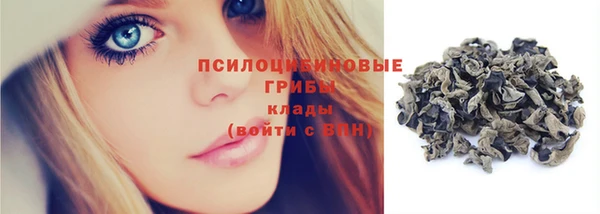 СК Гусь-Хрустальный