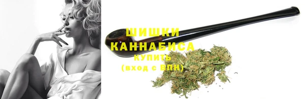 ПСИЛОЦИБИНОВЫЕ ГРИБЫ Горно-Алтайск
