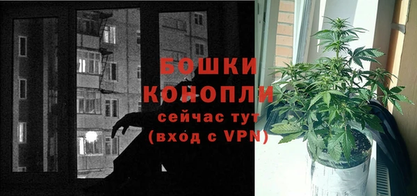 сатива Дмитров