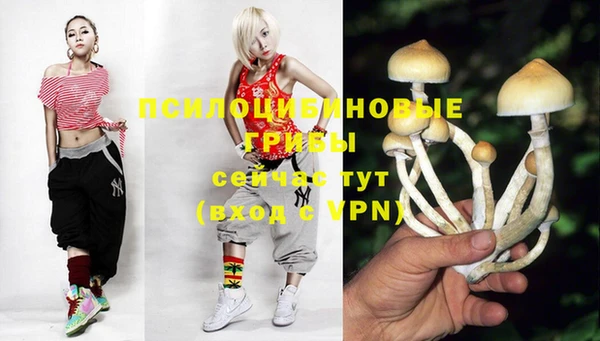 дживик Гусиноозёрск