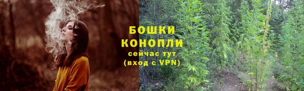 СК Гусь-Хрустальный